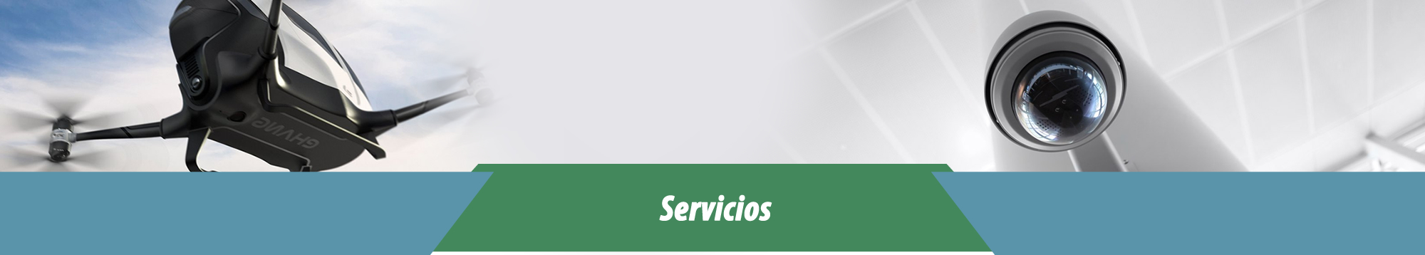 Servicios